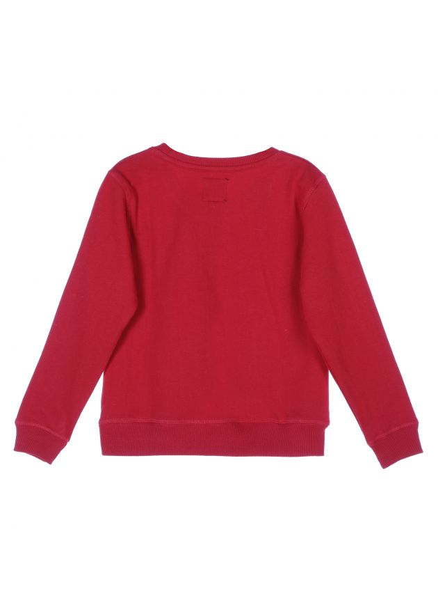 Sweat garçon Go Wild manches longues Redwood
